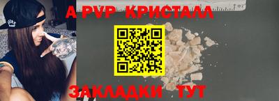 крисы Кингисепп
