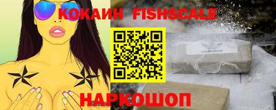 крисы Кингисепп