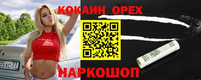 крисы Кингисепп