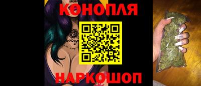 крисы Кингисепп