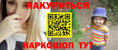 крисы Кингисепп