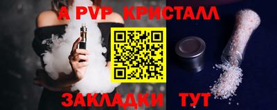 крисы Кингисепп