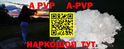крисы Кингисепп