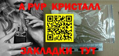крисы Кингисепп