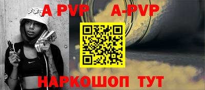 крисы Кингисепп