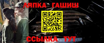 крисы Кингисепп