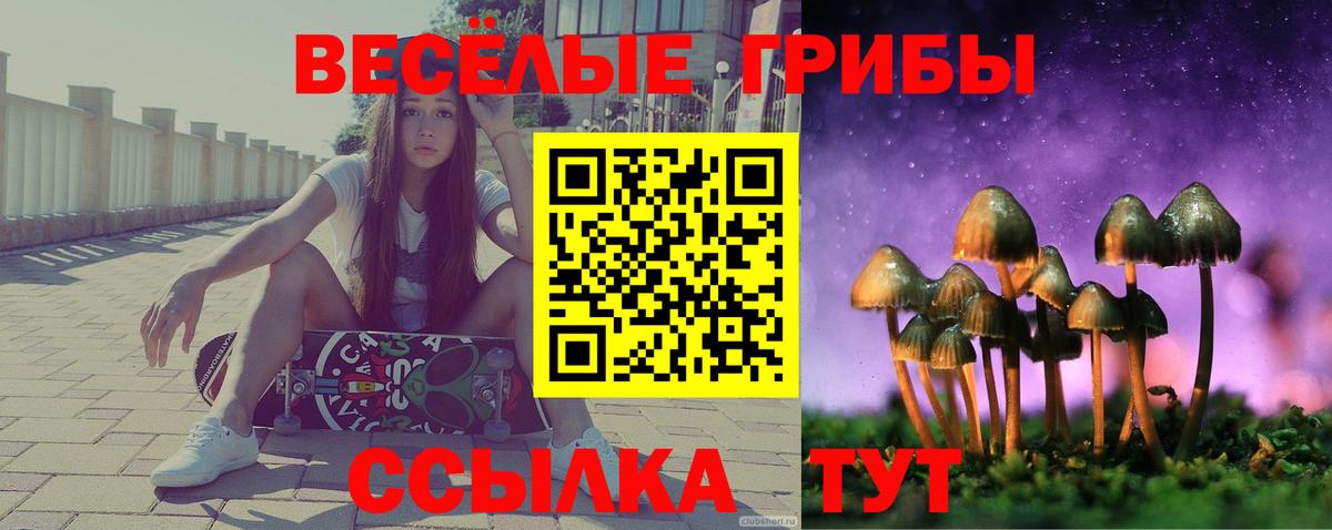Галлюциногенные грибы мицелий Кондопога