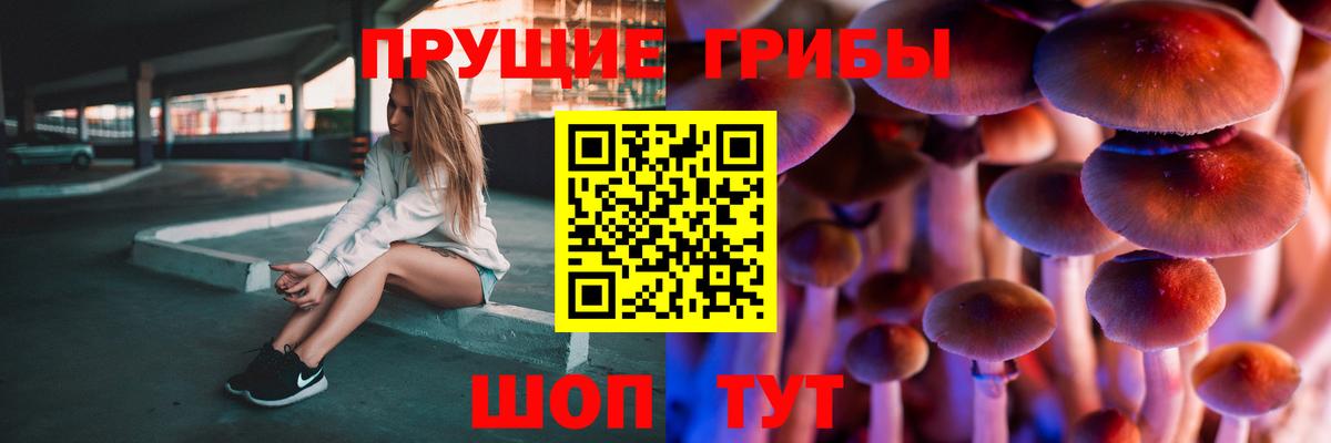 Псилоцибиновые грибы прущие грибы  Псилоцибиновые грибы ЛСД  Вход с VPN  Кондопога 